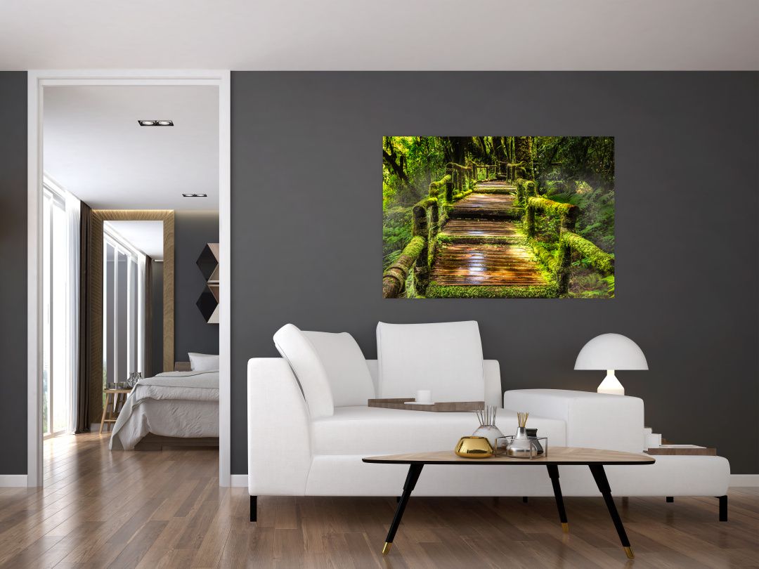 Obraz schodů v deštném pralese (V020941V10070)