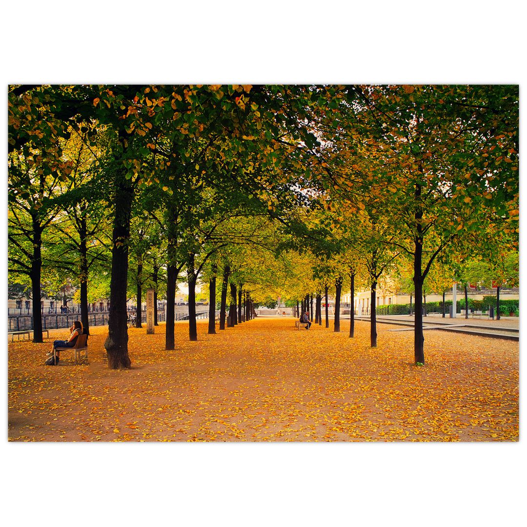 Obraz aleje podzimních stromů (V020953V10070)