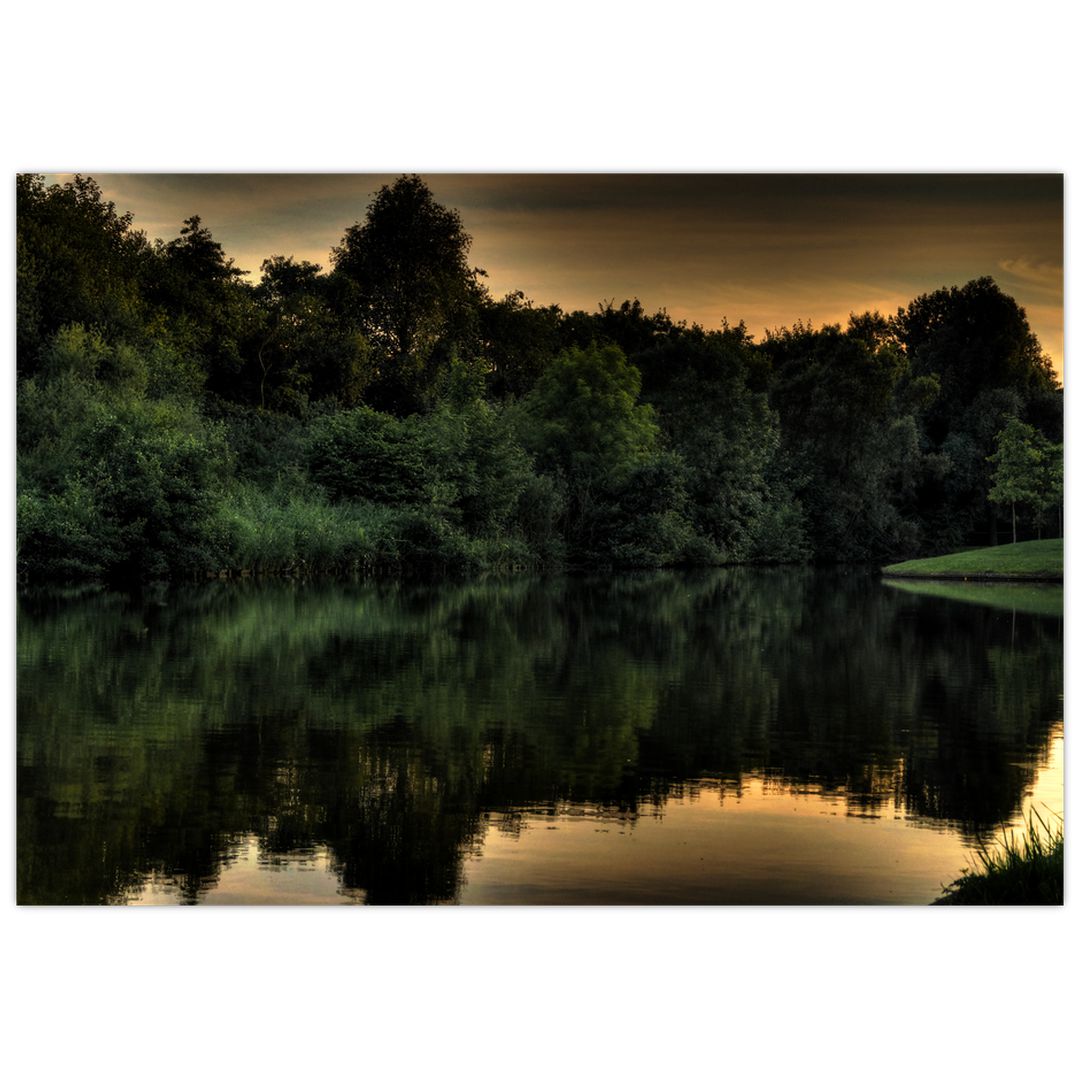 Obraz jezera u lesa (V020974V10070)