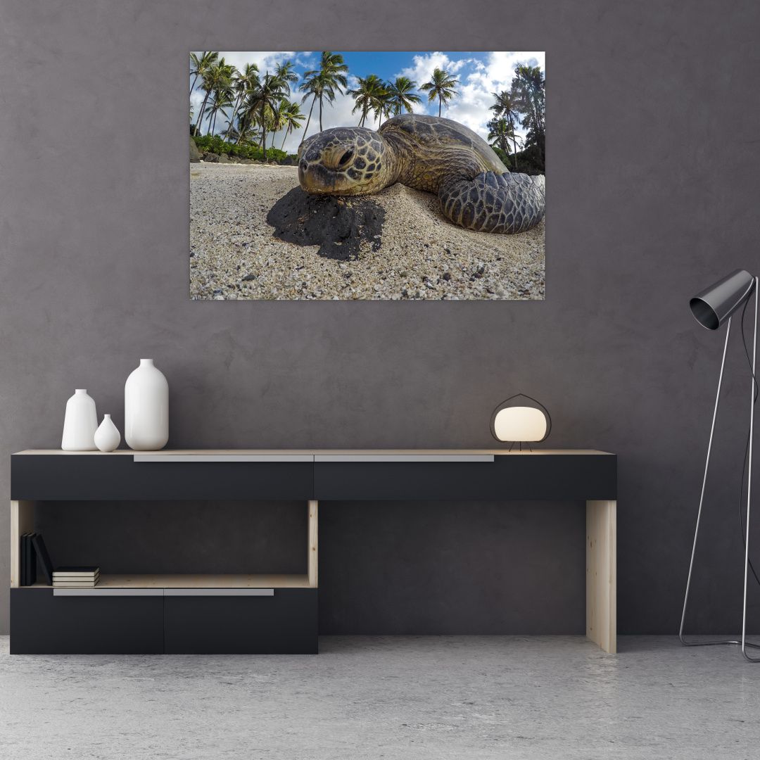 Obraz želvy (V020992V10070)