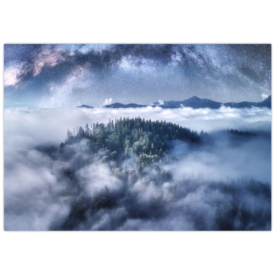 Obraz lesa v mlze (V022302V10070)