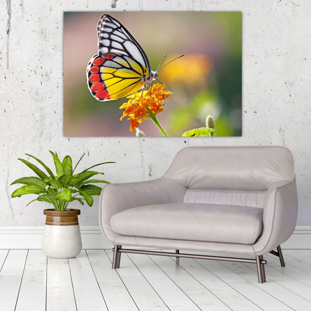 Obraz motýla na květu (V022330V10070)
