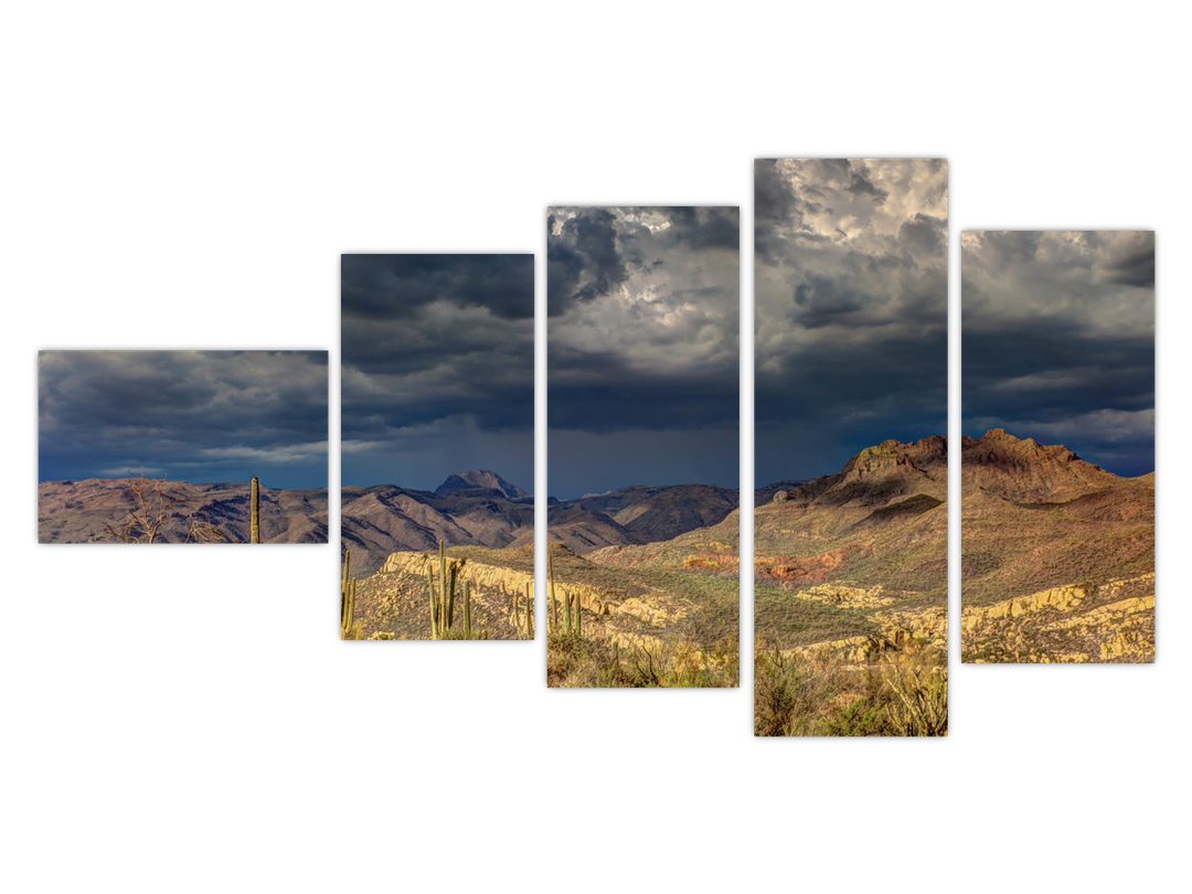 Obraz - kaktusy v přírodě (V020557V11060)