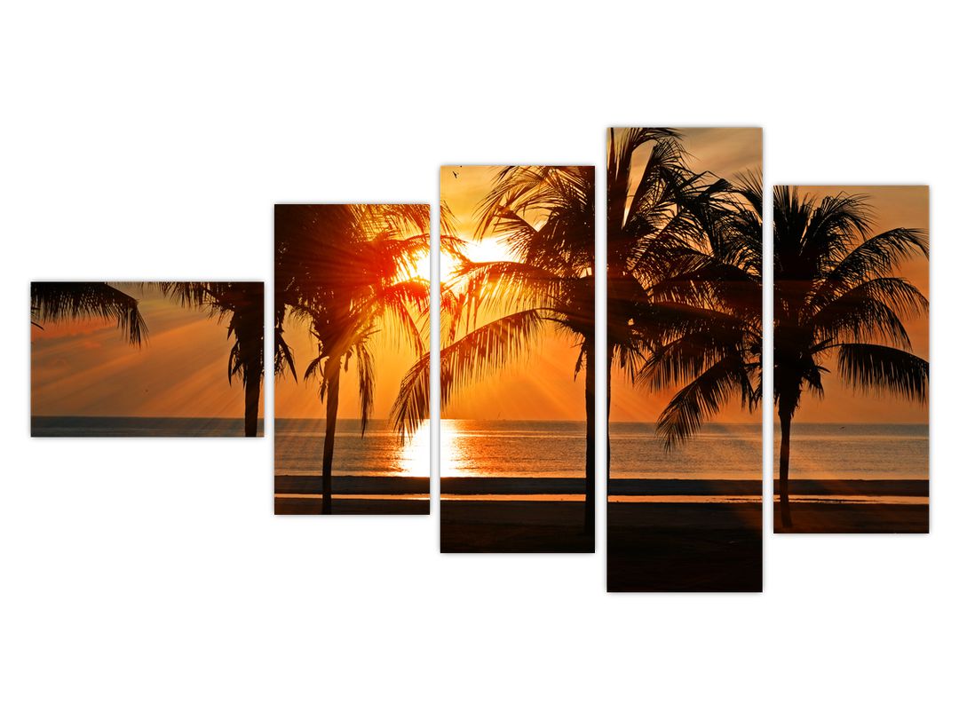 Obraz palmy v západu slunce (V020622V11060)