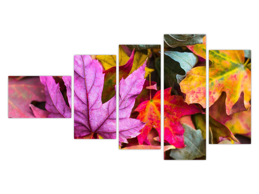 Obraz - podzimní listy (V020629V11060)