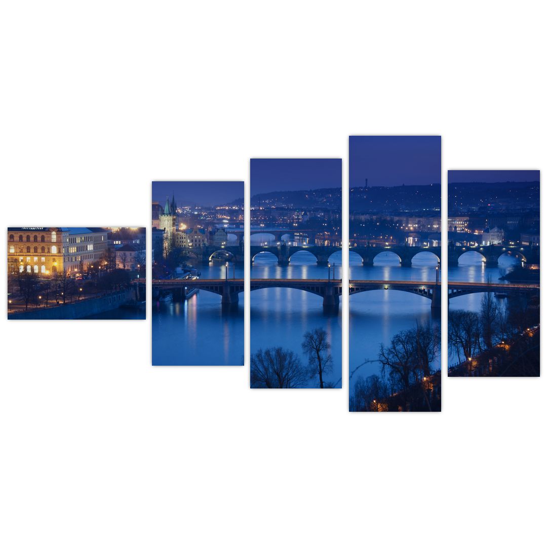 Obraz pražských mostů (V020932V11060)