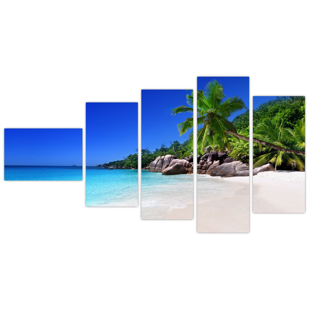 Obraz pláže na Praslin ostrově (V020936V11060)