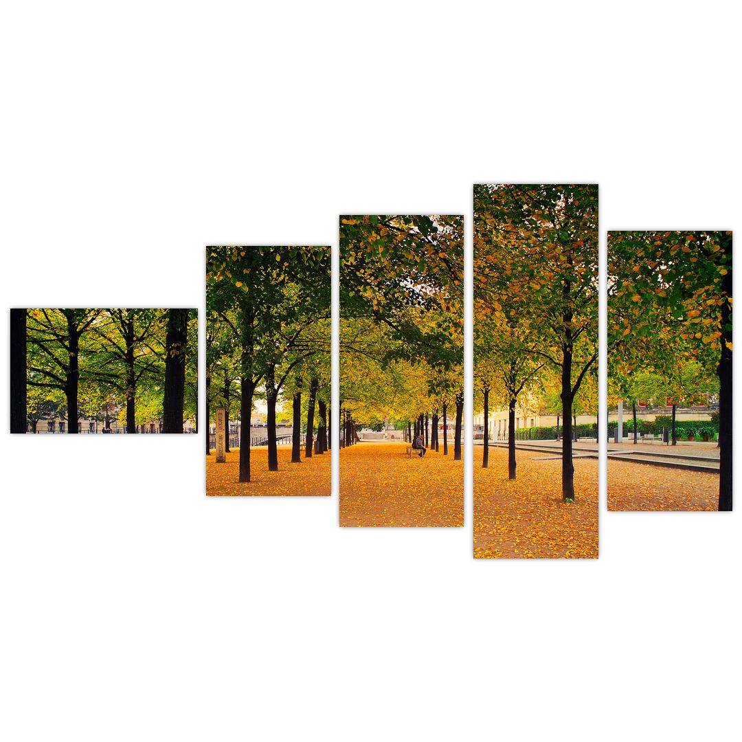 Obraz aleje podzimních stromů (V020953V11060)