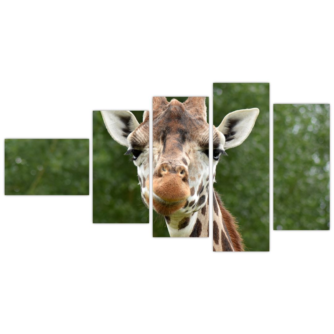 Obraz žirafy (V020969V11060)