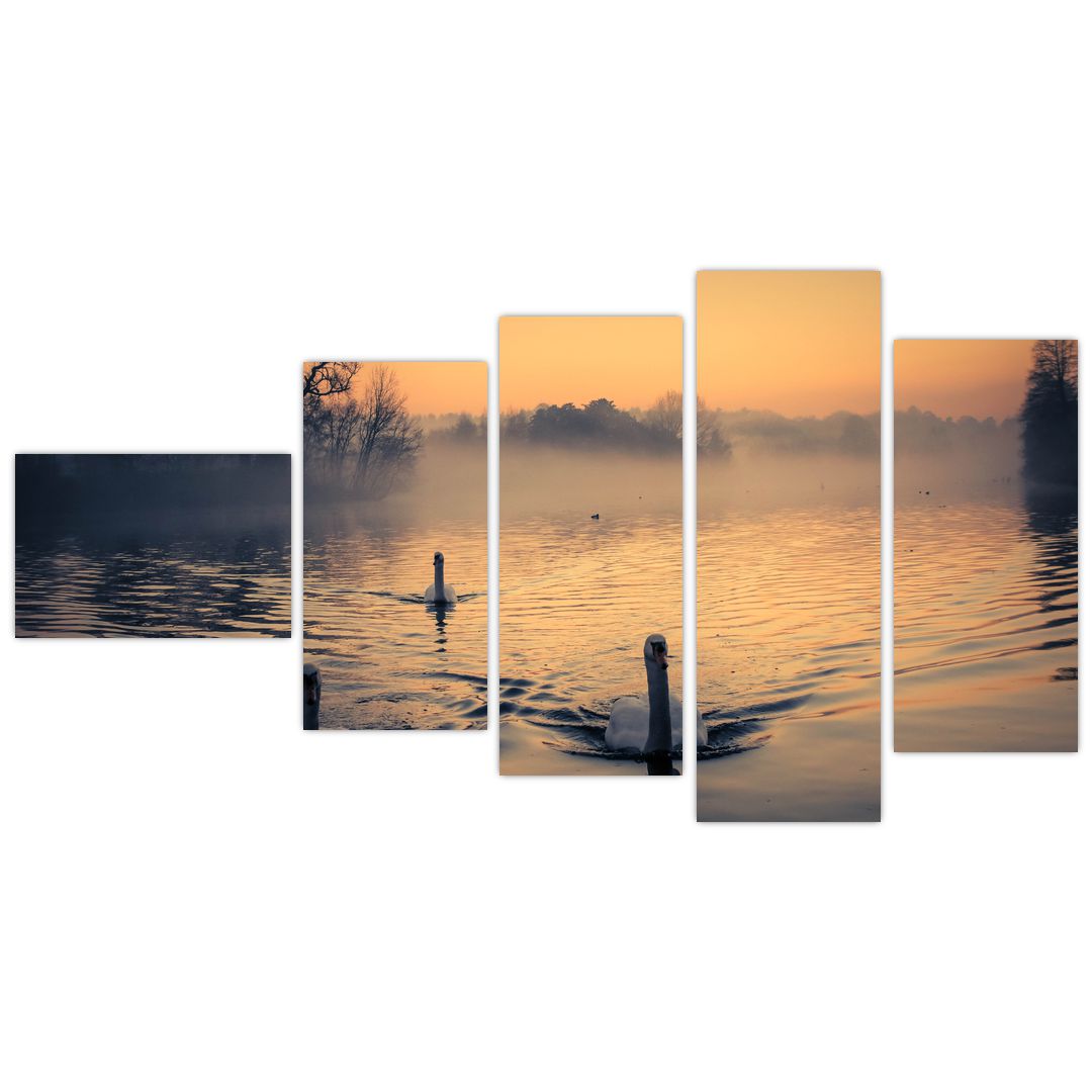 Obraz labutí na vodě v mlze (V020989V11060)