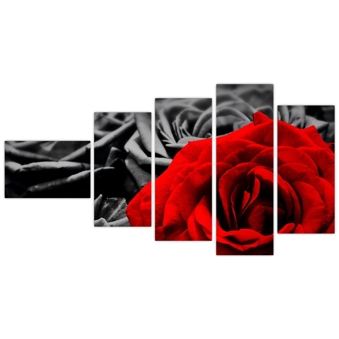 Tablou - Flori de trandafir (V021975V11060)