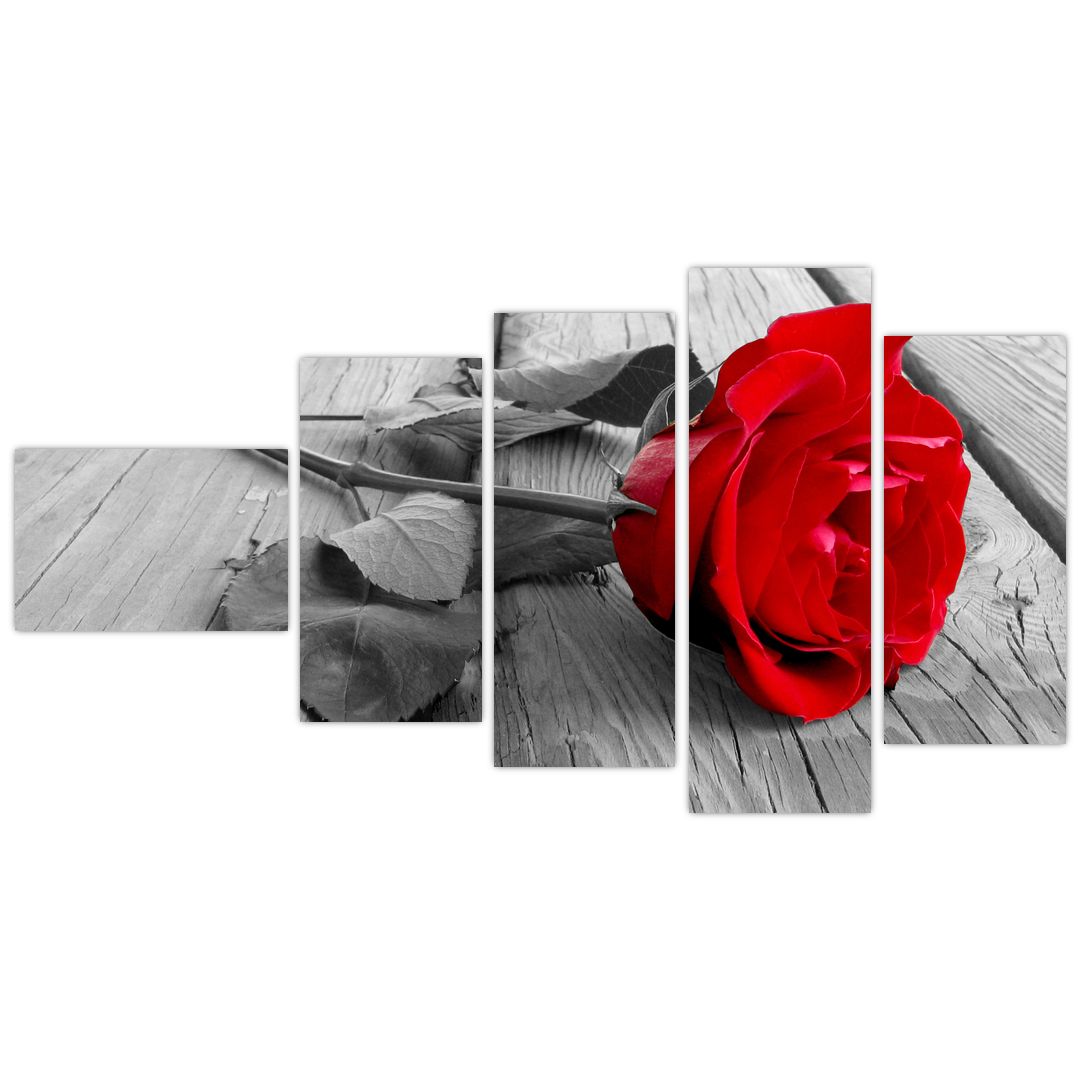 Obraz rudé růže (V022288V11060)