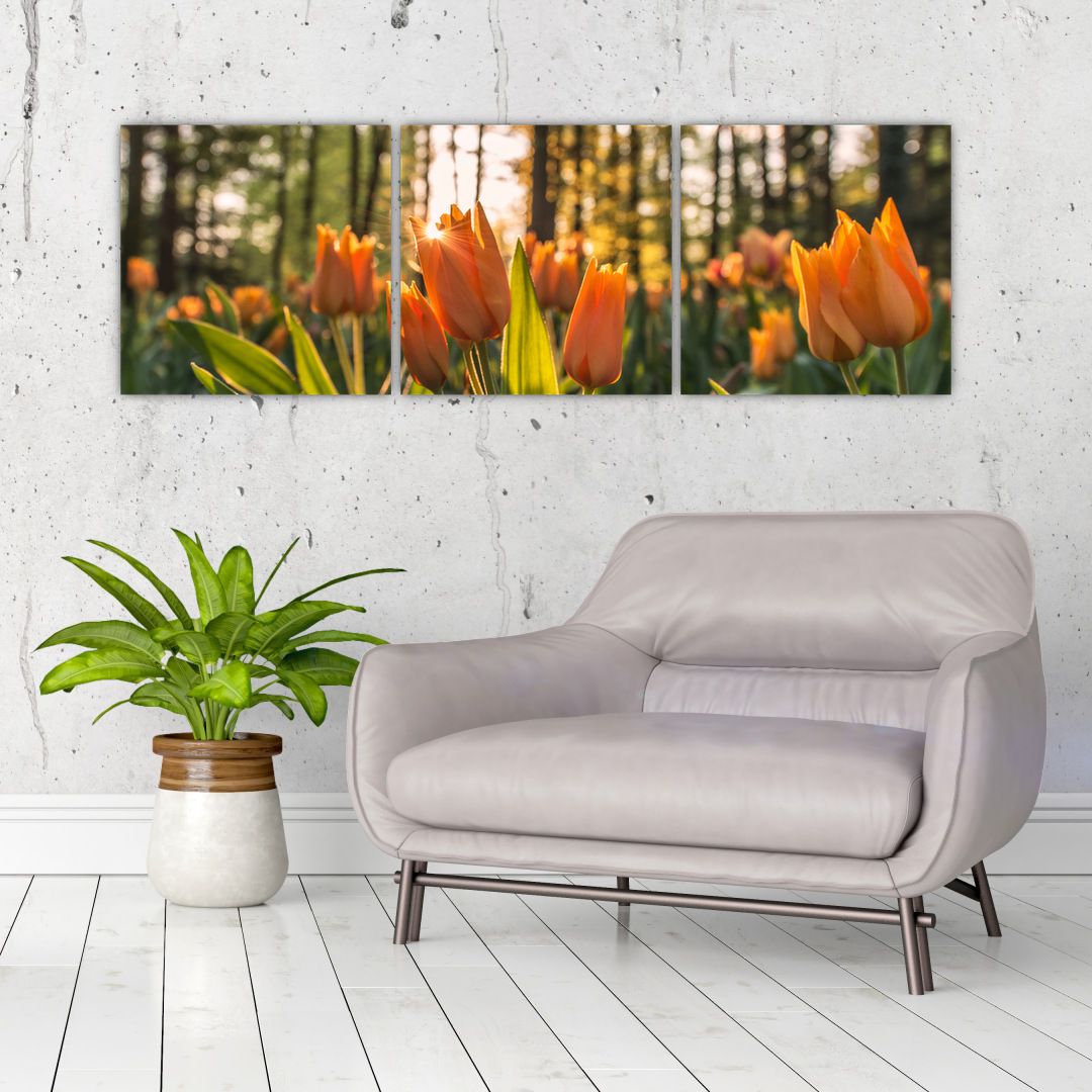 Obraz - oranžové tulipány (V020552V12040)