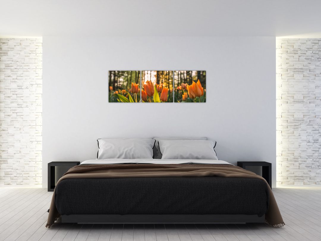 Obraz - oranžové tulipány (V020552V12040)