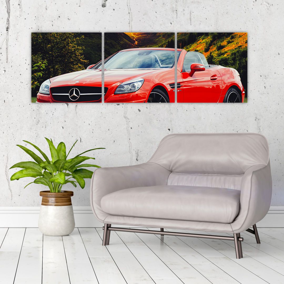 Obraz - červený Mercedes (V020564V12040)
