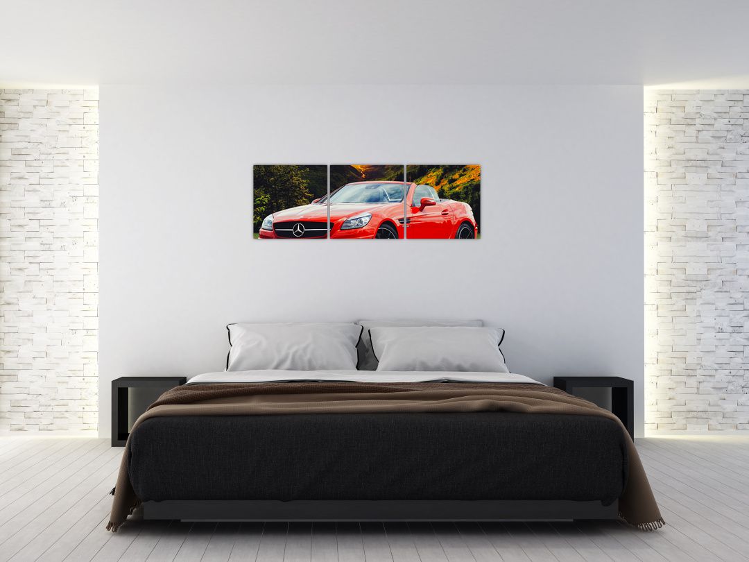 Obraz - červený Mercedes (V020564V12040)