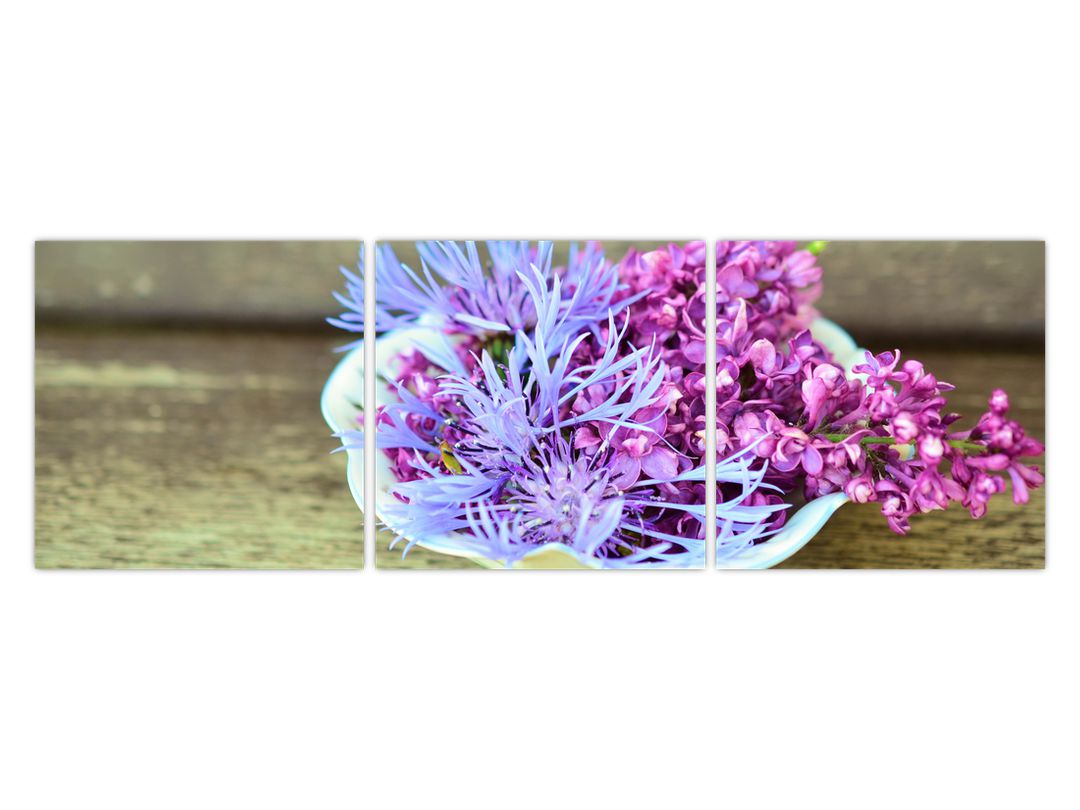 Obraz - fialová rostlinka (V020582V12040)
