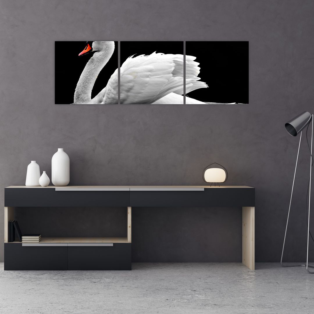 Obraz černobílé labutě (V020586V12040)