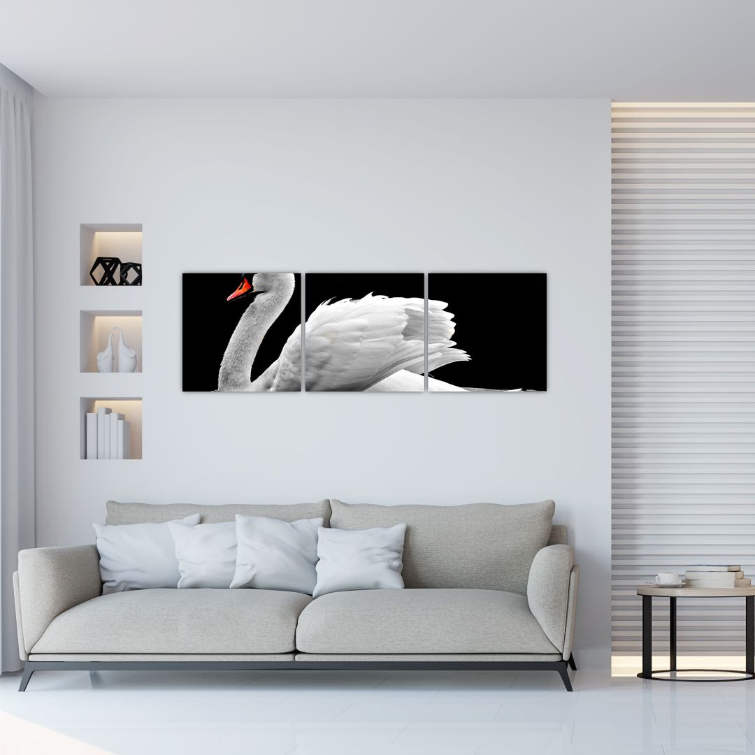 Obraz černobílé labutě (V020586V12040)