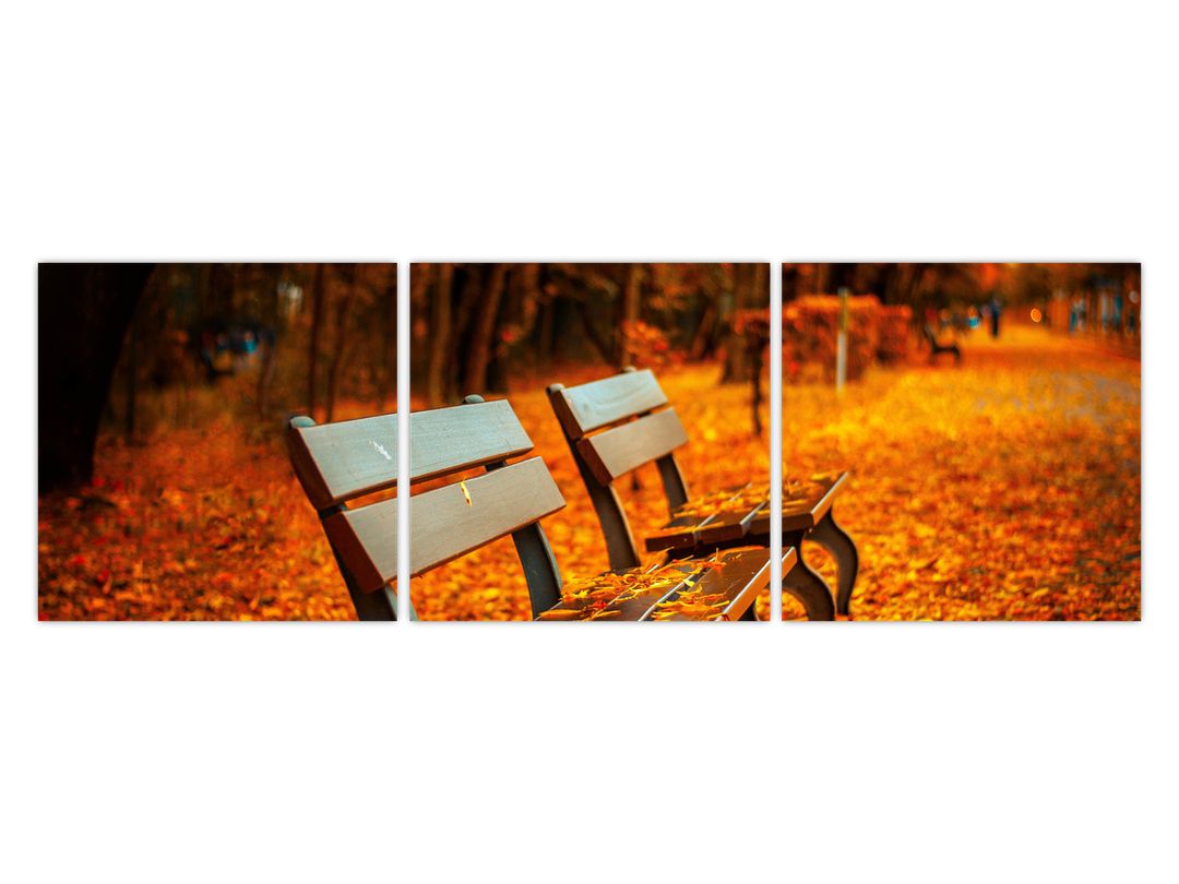 Obraz lavičky v podzimu (V020588V12040)
