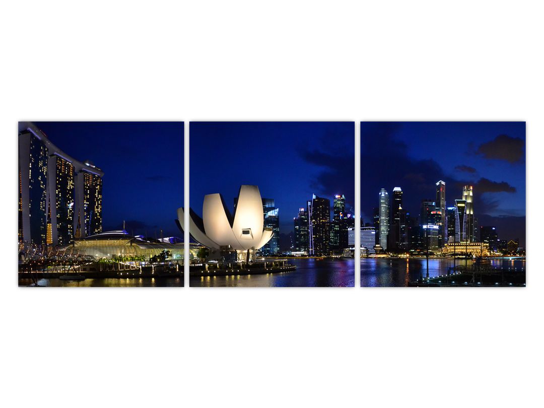 Obraz nočního Singapouru (V020610V12040)