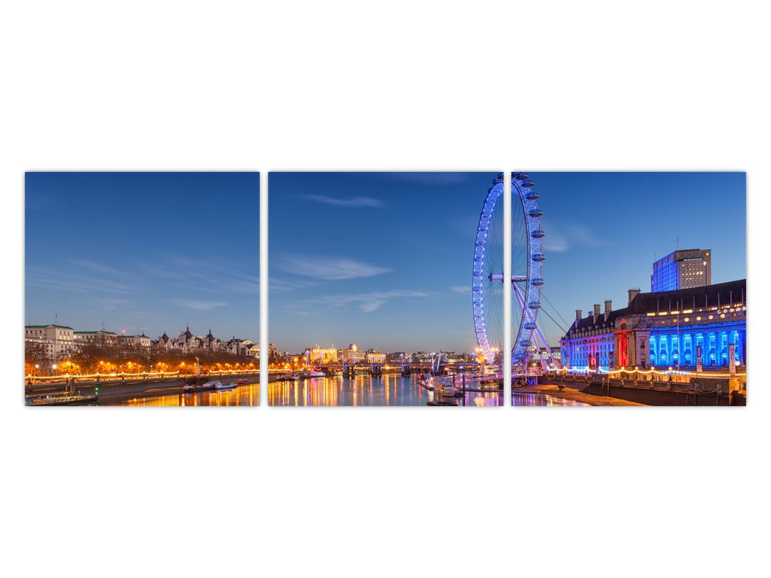 Obraz London Eye (V020611V12040)