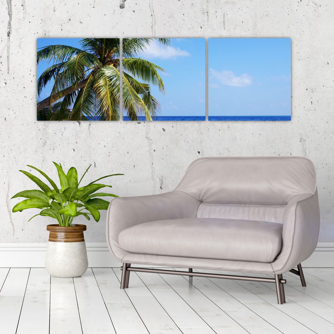 Obraz palmy na pláži (V020612V12040)