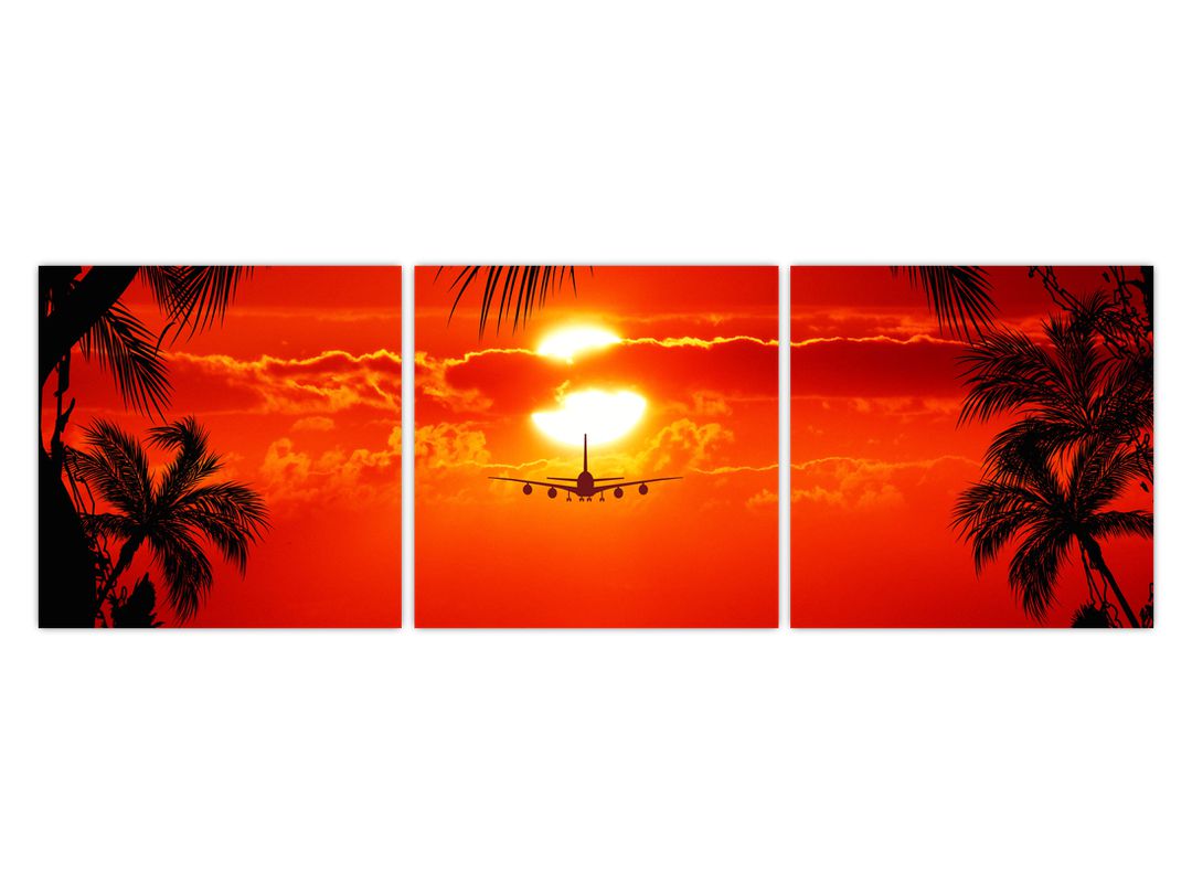 Obraz - západ slunce s letadlem (V020623V12040)