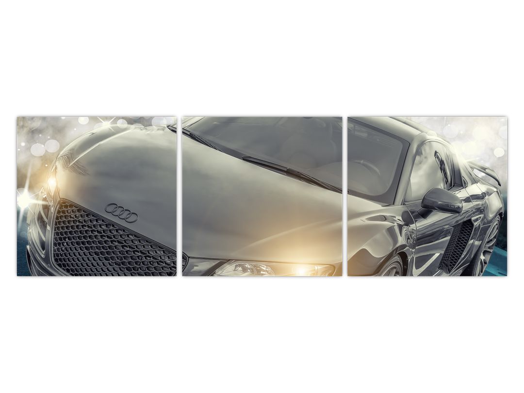 Obraz auta Audi - šedé (V020631V12040)