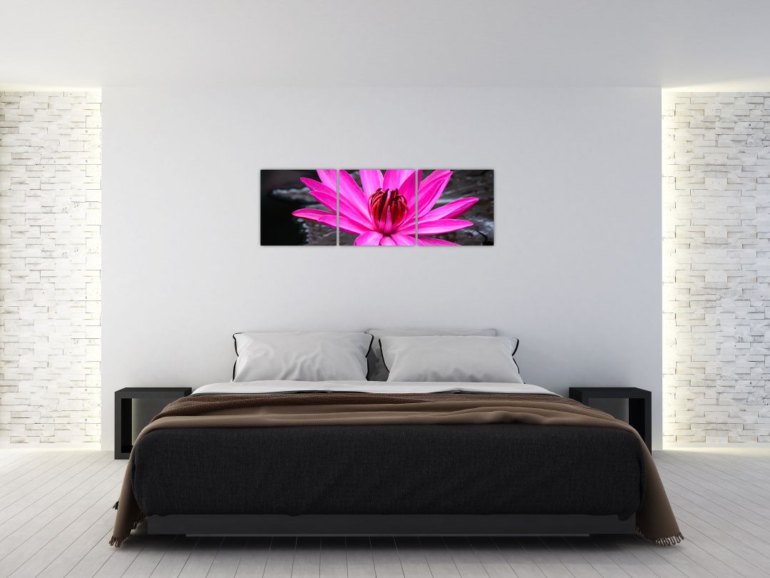Obraz - růžový květ (V020636V12040)