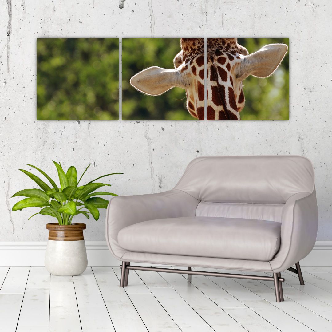 Obraz žirafy zezadu (V020638V12040)