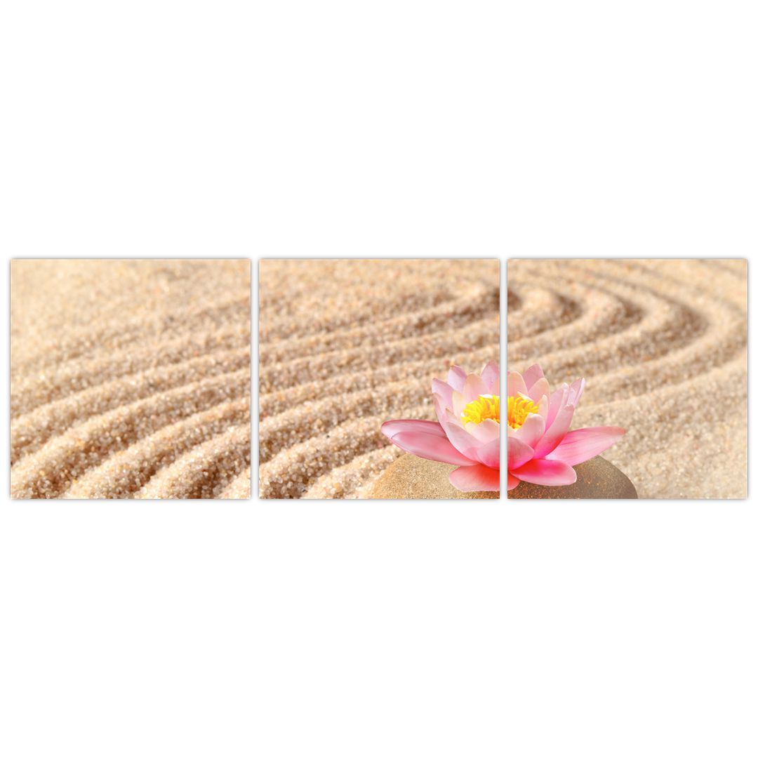 Tablou cu piatră și floare pe nisip (V020864V12040)