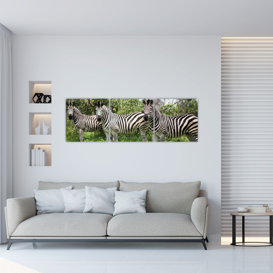 Obraz s zebrami (V020921V12040)