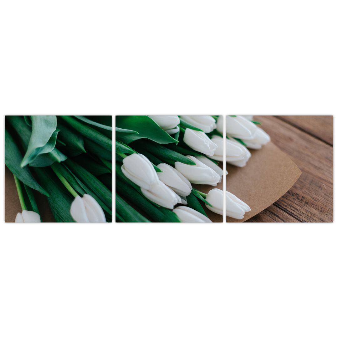 Obraz kytice bílých tulipánů (V020922V12040)
