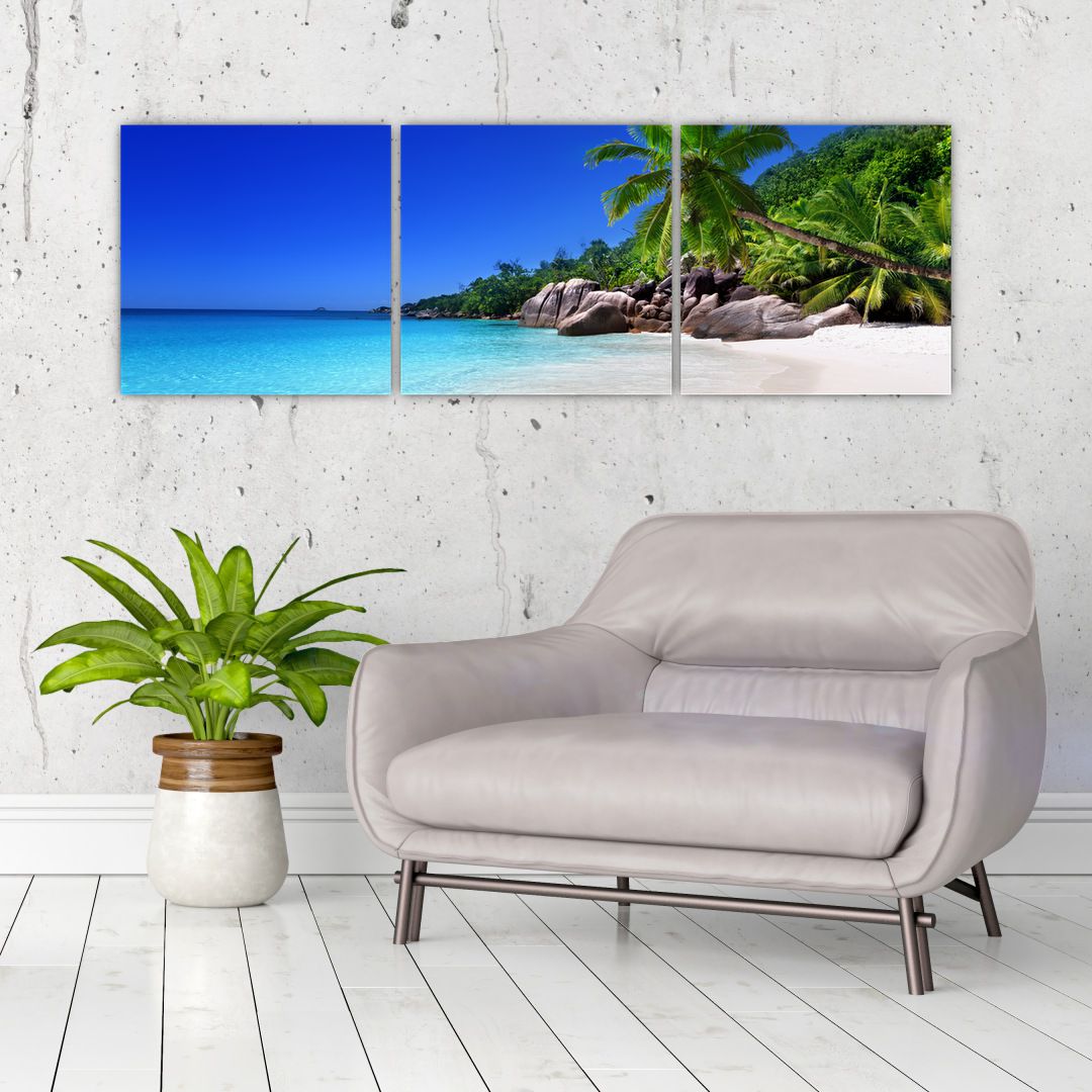 Obraz pláže na Praslin ostrově (V020936V12040)