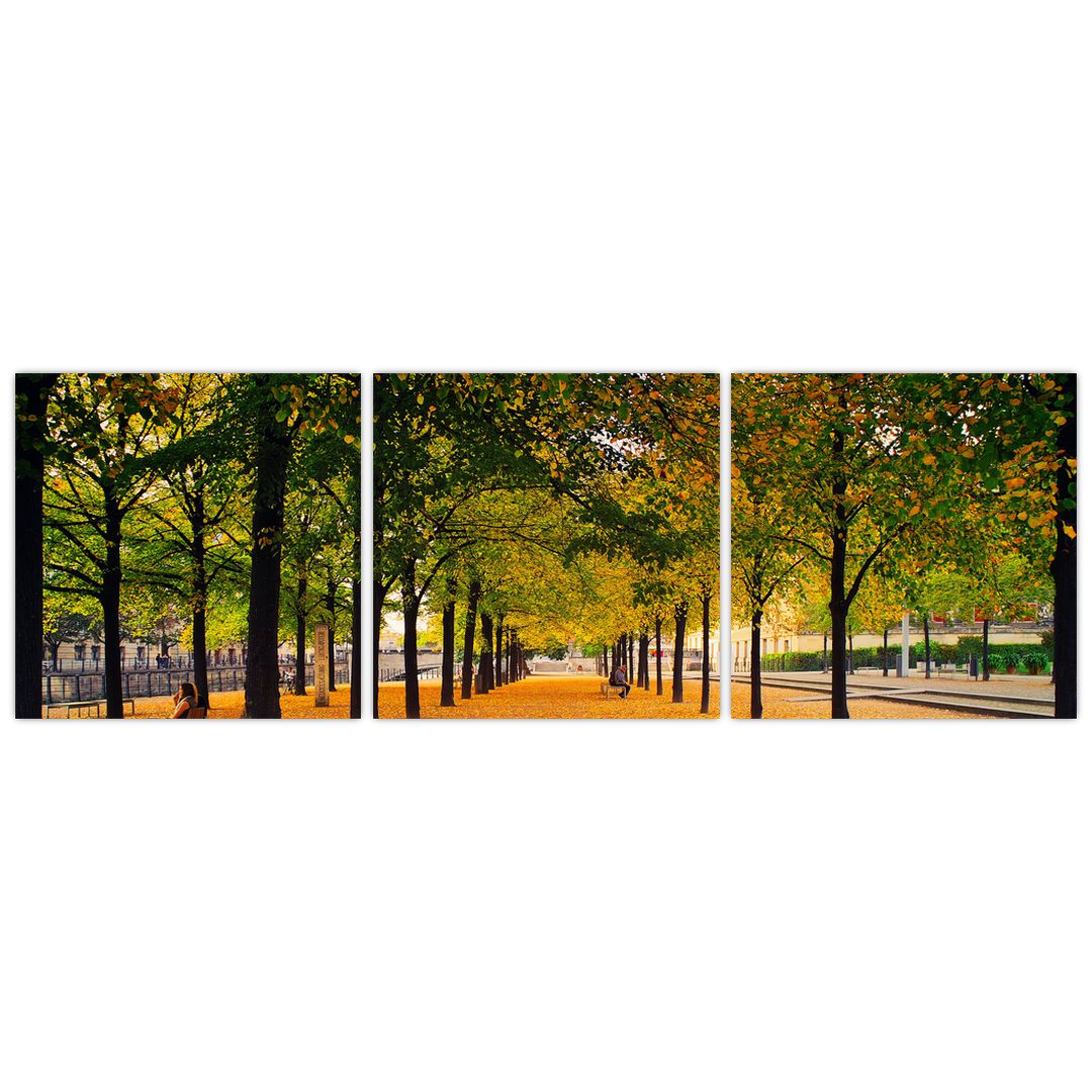 Obraz aleje podzimních stromů (V020953V12040)