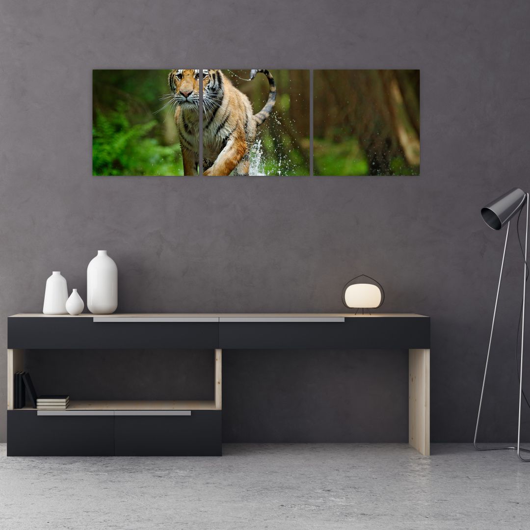 Obraz běžícího tygra (V020979V12040)