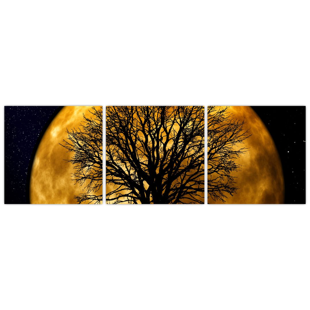 Obraz měsíce a siluet (V020995V12040)