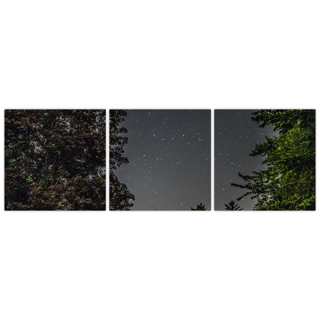 Obraz noční oblohy (V020998V12040)