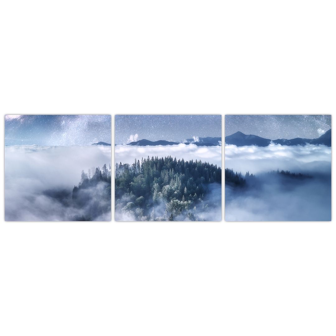 Obraz lesa v mlze (V022302V12040)