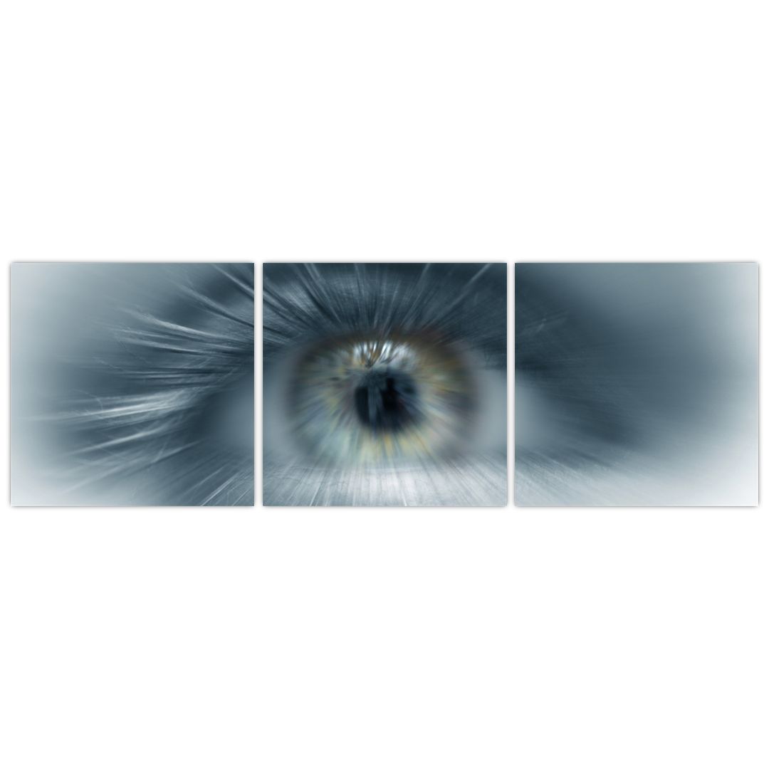 Obraz  - Pohled oka (V022319V12040)