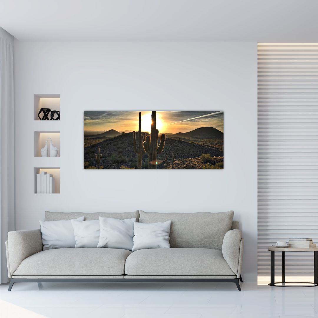 Obraz - kaktusy ve slunci (V020560V12050)