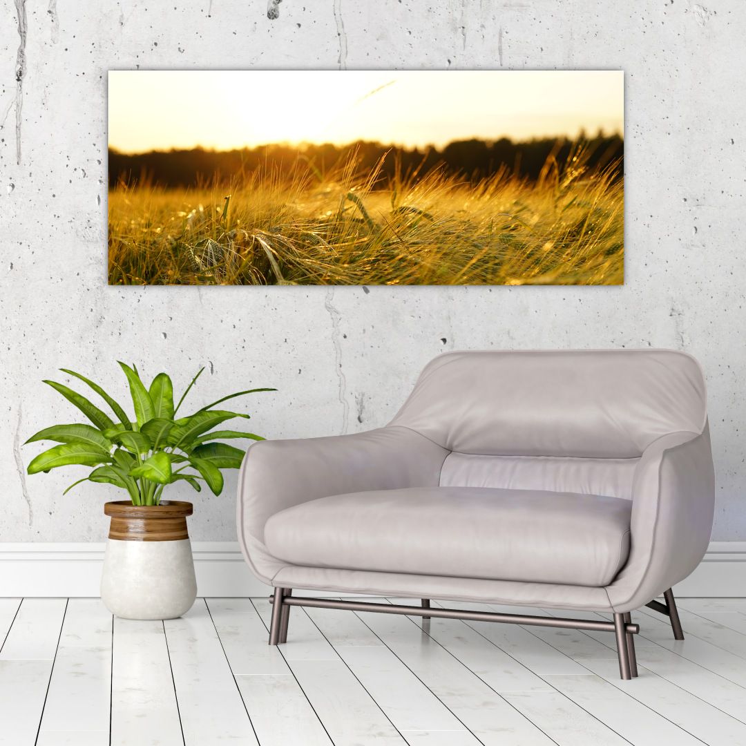 Obraz orosené trávy (V020584V12050)