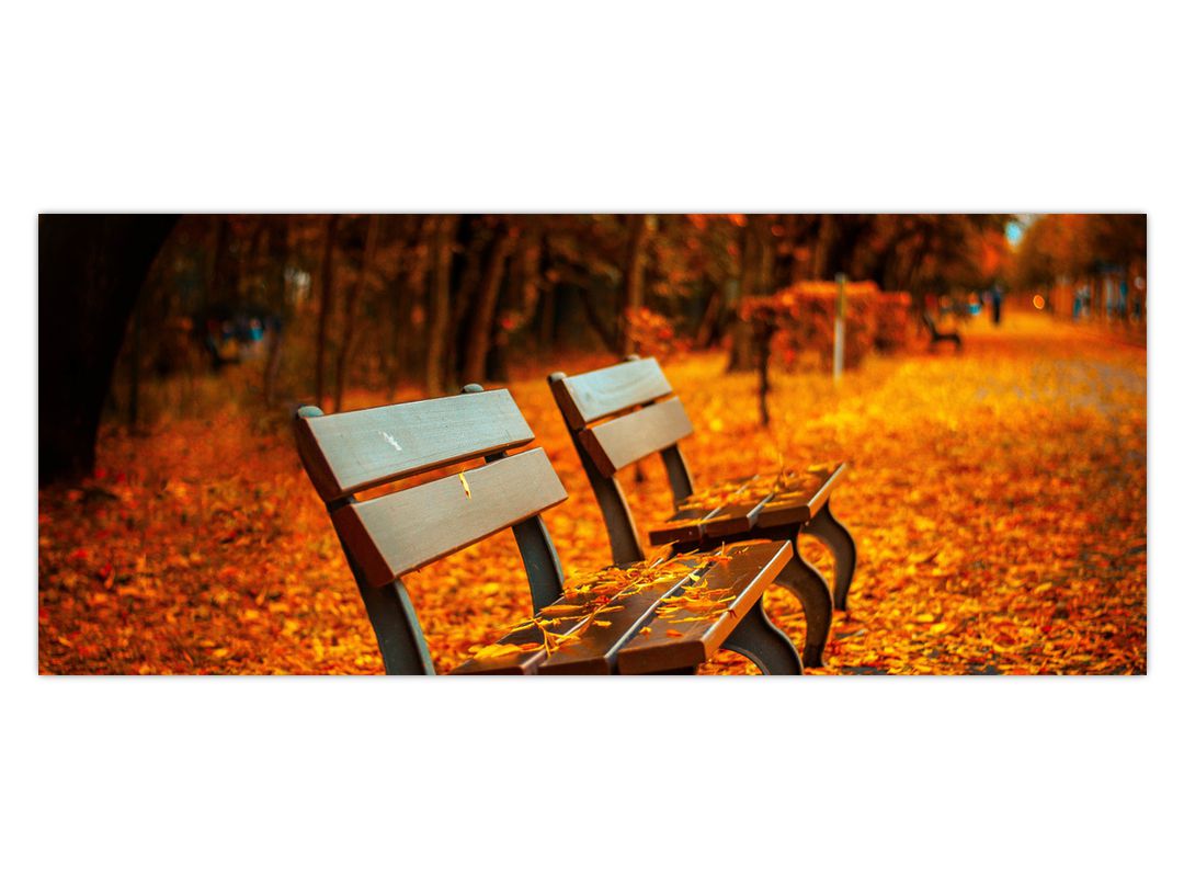 Obraz lavičky v podzimu (V020588V12050)