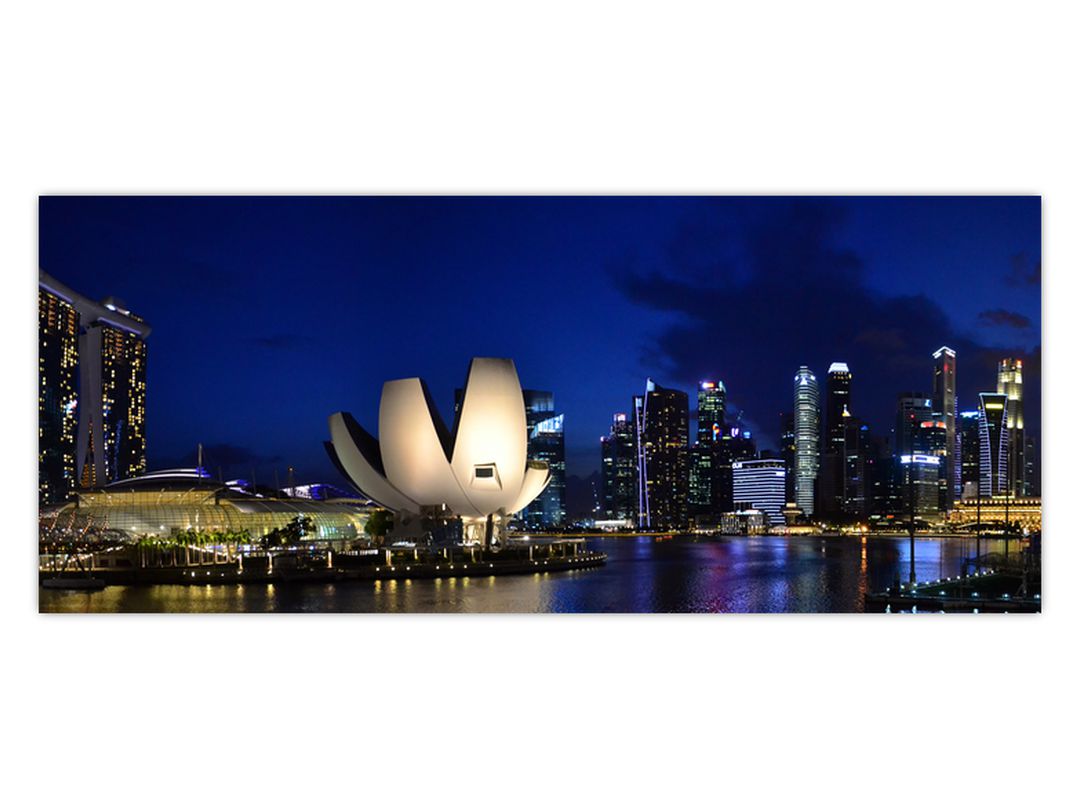Obraz nočního Singapouru (V020610V12050)