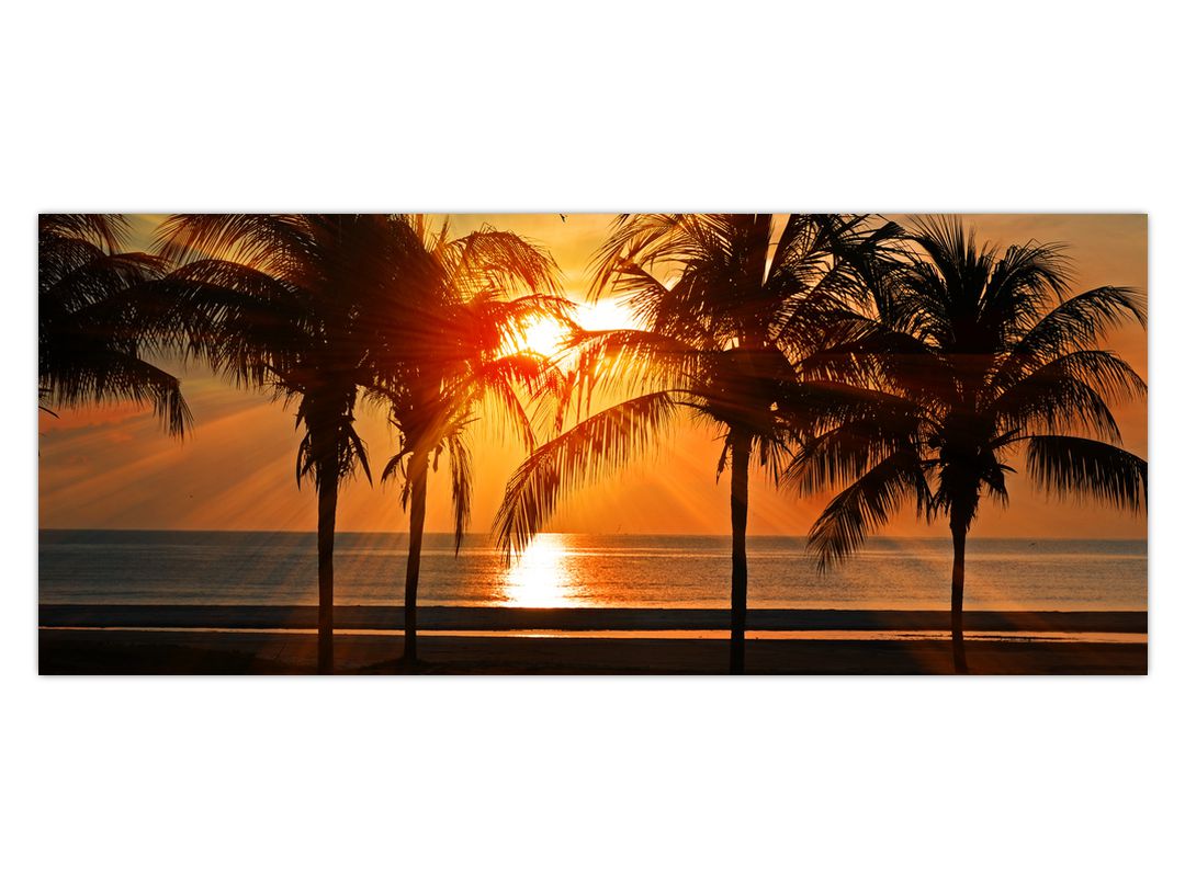 Obraz palmy v západu slunce (V020622V12050)