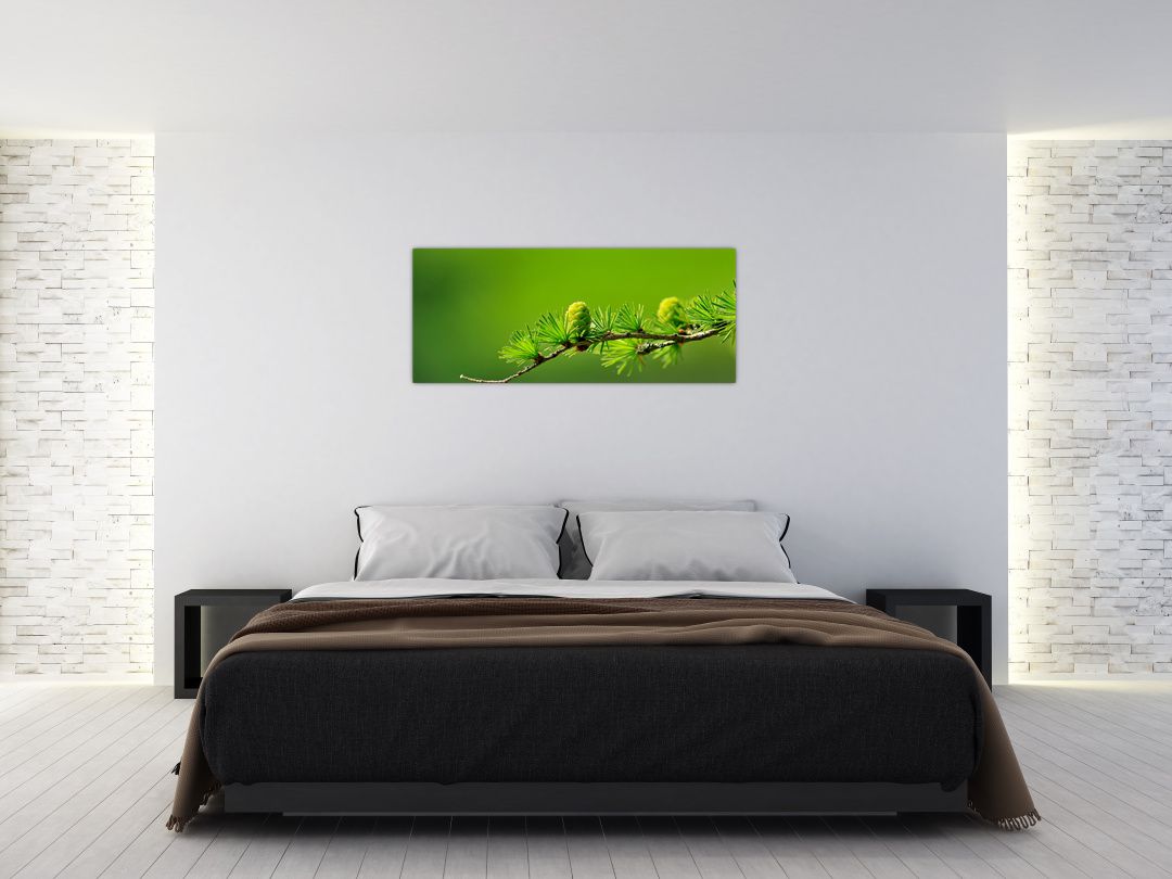 Obraz zelené šišky (V020627V12050)