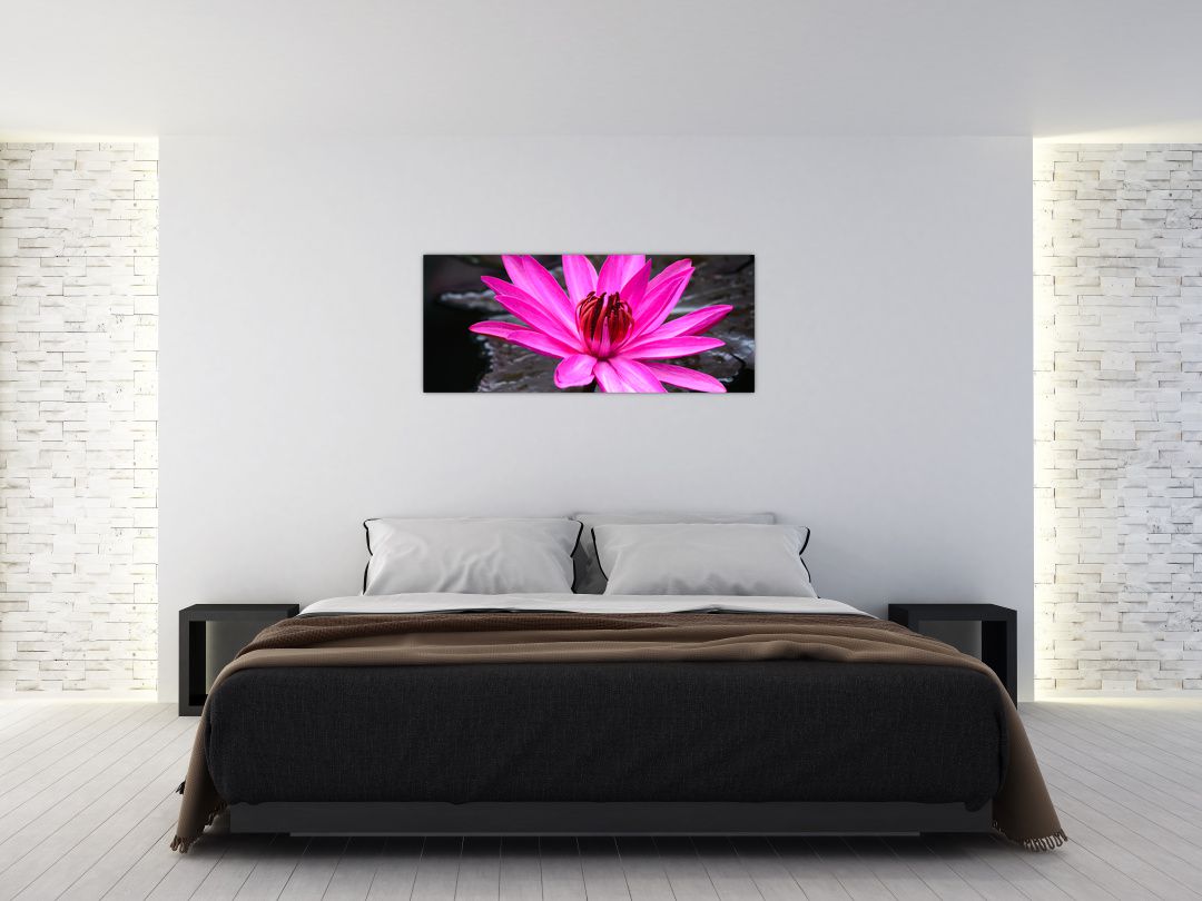 Obraz - růžový květ (V020636V12050)