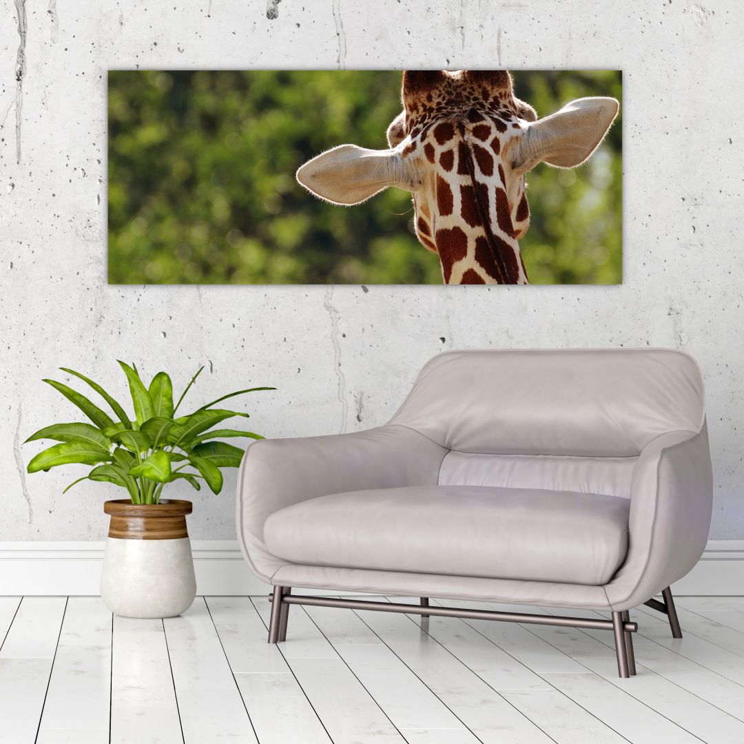 Obraz žirafy zezadu (V020638V12050)