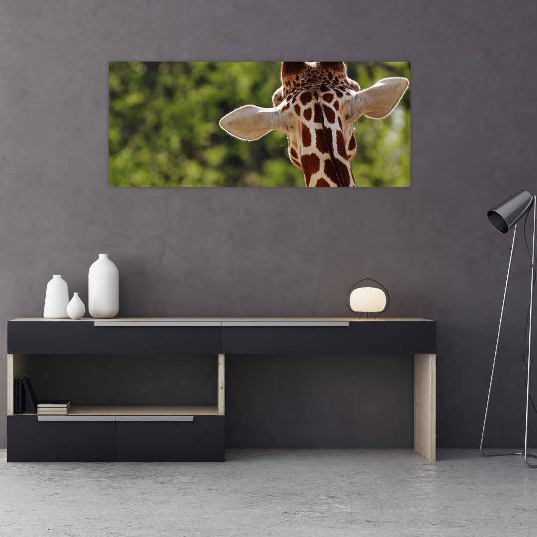 Obraz žirafy zezadu (V020638V12050)